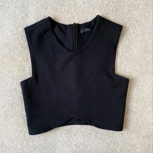 Aritzia Talula Manzanita Crop Top